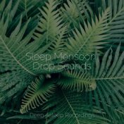 Sleep Monsoon Drop Sounds