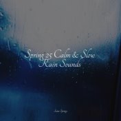 Spring 25 Calm & Slow Rain Sounds