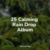 25 Calming Rain Drop Album