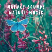 Nature Sounds Nature Music