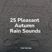 25 Pleasant Autumn Rain Sounds