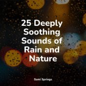 25 Deeply Soothing Sounds of Rain and Nature