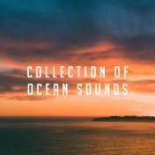 Collection of Ocean Sounds