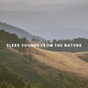 Sleep Sounds From The Nature