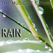 The Music of Nature: Rain