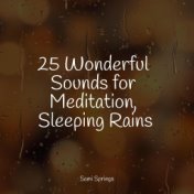 25 Wonderful Sounds for Meditation, Sleeping Rains
