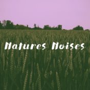 Natures Noises