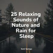 25 Relaxing Sounds of Nature and Rain for Sleep