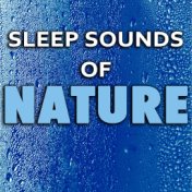 Sleep Sounds of Nature