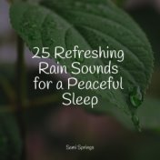 25 Refreshing Rain Sounds for a Peaceful Sleep