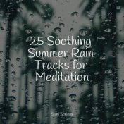 25 Soothing Summer Rain Tracks for Meditation