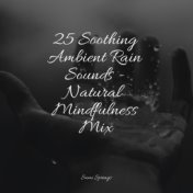 25 Soothing Ambient Rain Sounds - Natural Mindfulness Mix