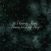 25 Ultimate Rain Sounds for Deep Sleep