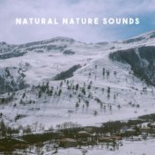 Natural Nature Sounds