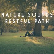 Nature Sounds Restful Path