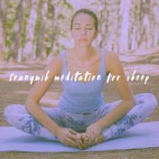 Tranquil Meditation for Sleep