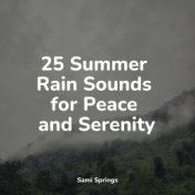 25 Summer Rain Sounds for Peace and Serenity