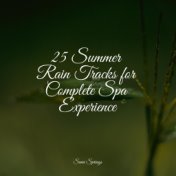 25 Summer Rain Tracks for Complete Spa Experience