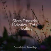 Sleep Essential Melodies | Total Healing