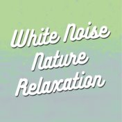 White Noise Nature Relaxation