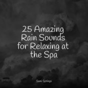 25 Amazing Rain Sounds for Relaxing at the Spa
