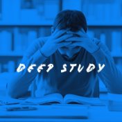 Deep Study