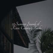 25 Summer Sounds of Rain: Calming Tracks