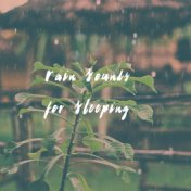 Rain Sounds for Sleeping