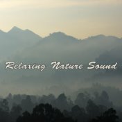 Relaxing Nature Sound