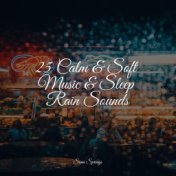 25 Calm & Soft Music & Sleep Rain Sounds