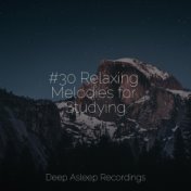 #30 Relaxing Melodies for Studying