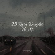 25 Rain Droplet Tracks