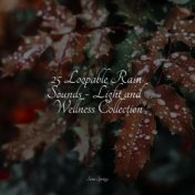 25 Loopable Rain Sounds - Light and Wellness Collection