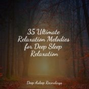 35 Ultimate Relaxation Melodies for Deep Sleep Relaxation