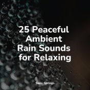 25 Peaceful Ambient Rain Sounds for Relaxing