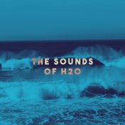 The Sounds Of H2O