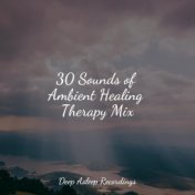 30 Sounds of Ambient Healing Therapy Mix
