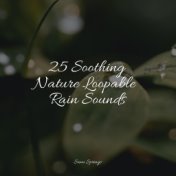 25 Soothing Nature Loopable Rain Sounds