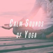 Calm Sounds of Yoga