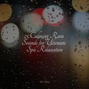 25 Calming Rain Sounds for Ultimate Spa Relaxation