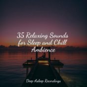 35 Relaxing Sounds for Sleep and Chill Ambience
