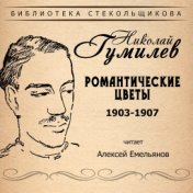 Николай Гумилёв. Романтические цветы 1903 – 1907. Библиотека Стекольщикова