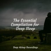 The Essential Compilation for Deep Sleep