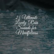 25 Ultimate Lovely Rain Sounds for Mindfulness