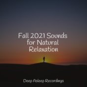 Fall 2021 Sounds for Natural Relaxation