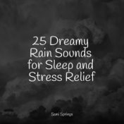 25 Dreamy Rain Sounds for Sleep and Stress Relief