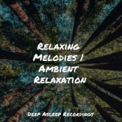 Relaxing Melodies | Ambient Relaxation