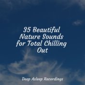 35 Beautiful Nature Sounds for Total Chilling Out