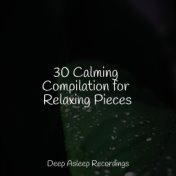30 Calming Compilation for Relaxing Pieces