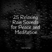 25 Relaxing Rain Sounds for Peace and Meditation